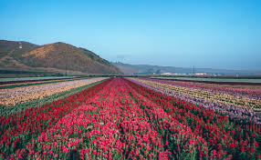 Lompoc, CA Hard Money Loans