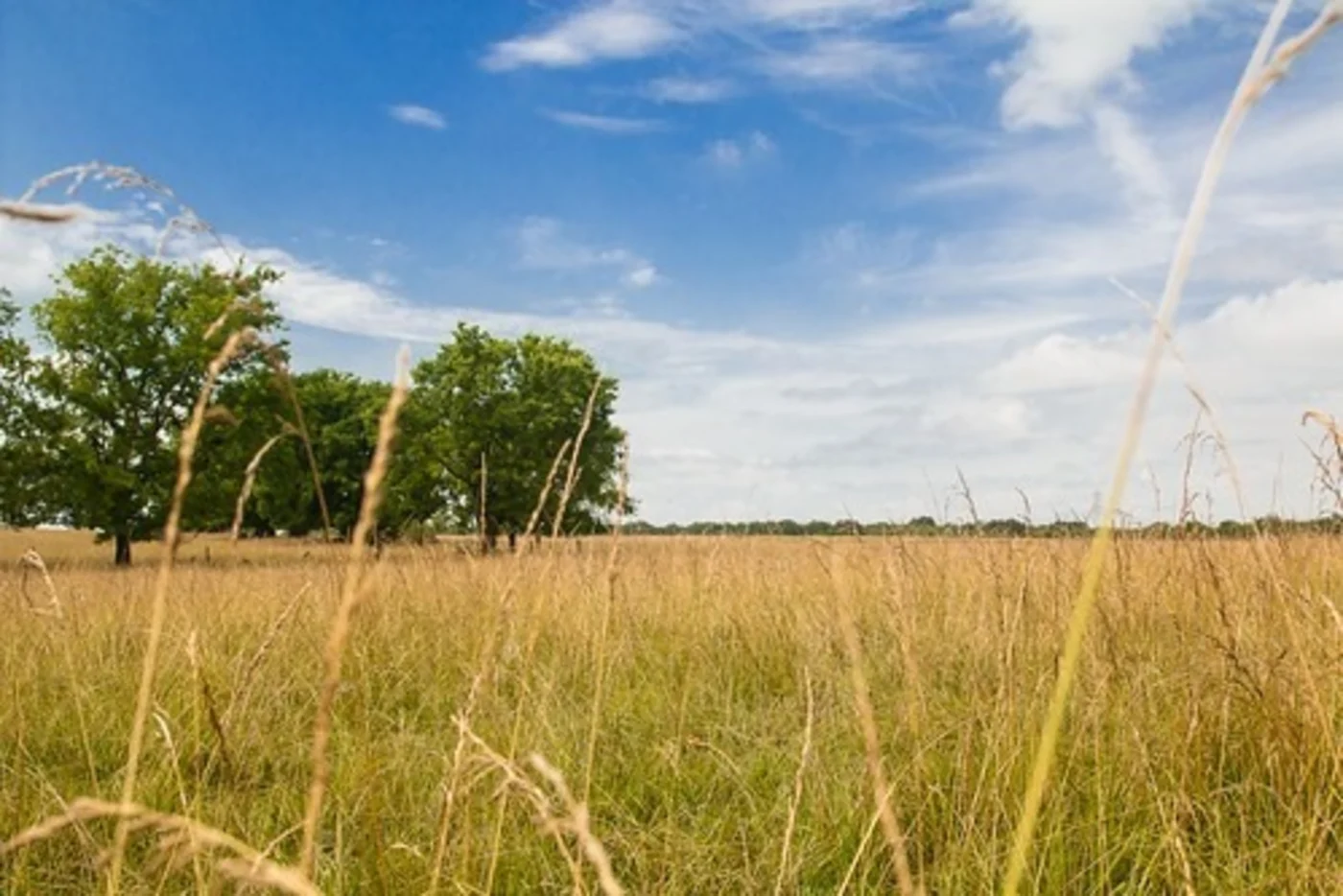 Vacant Land Loans